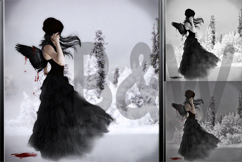 5 Black and White PS actions