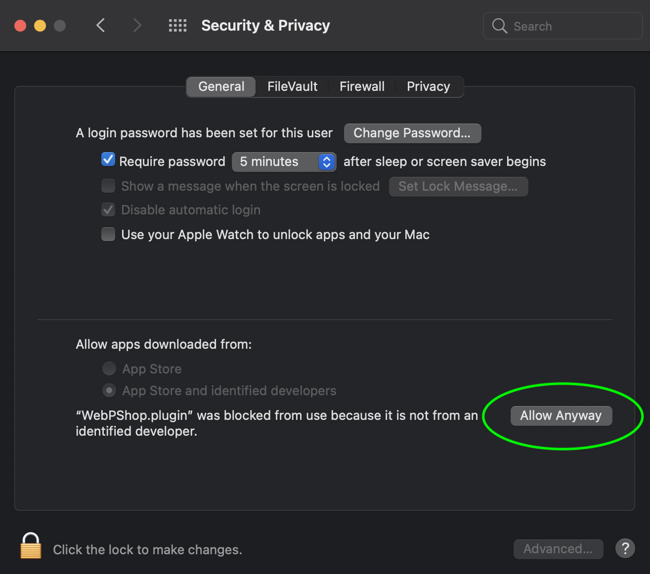 macOS allow anyways