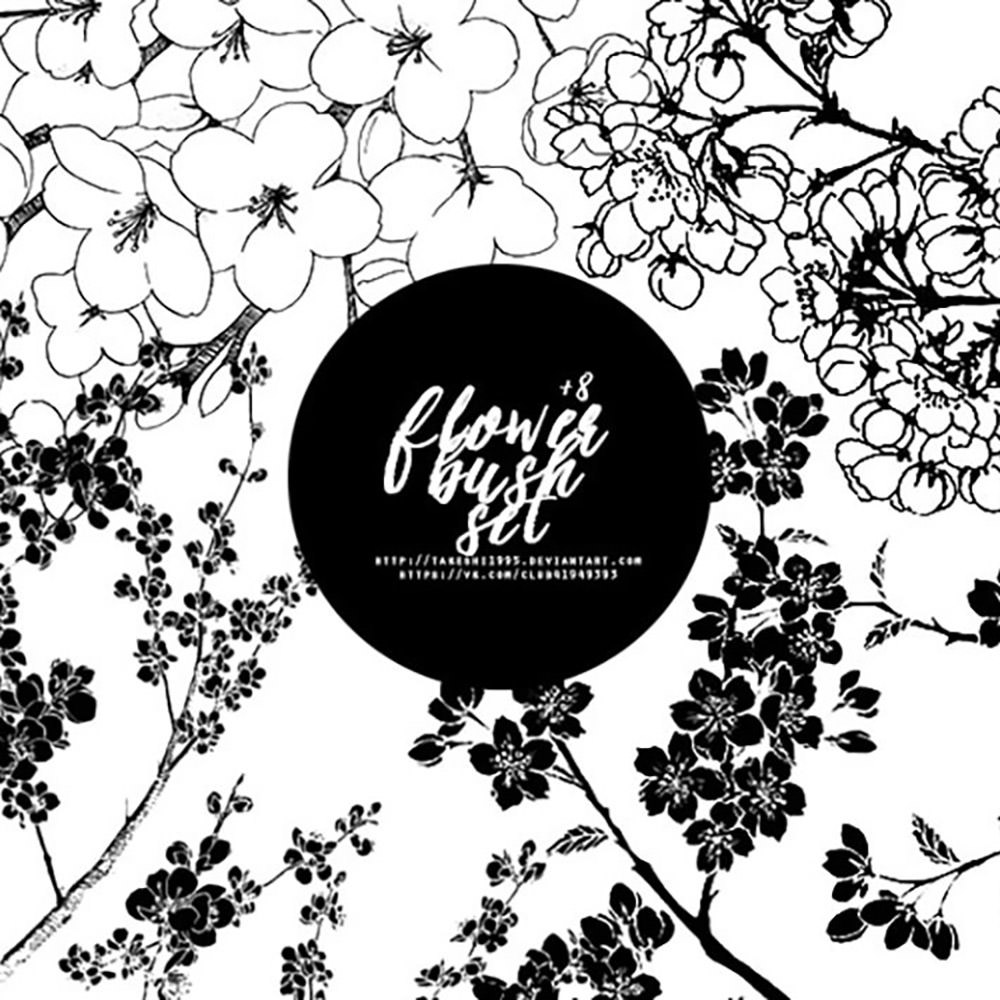 Flower Photoshop Brushes