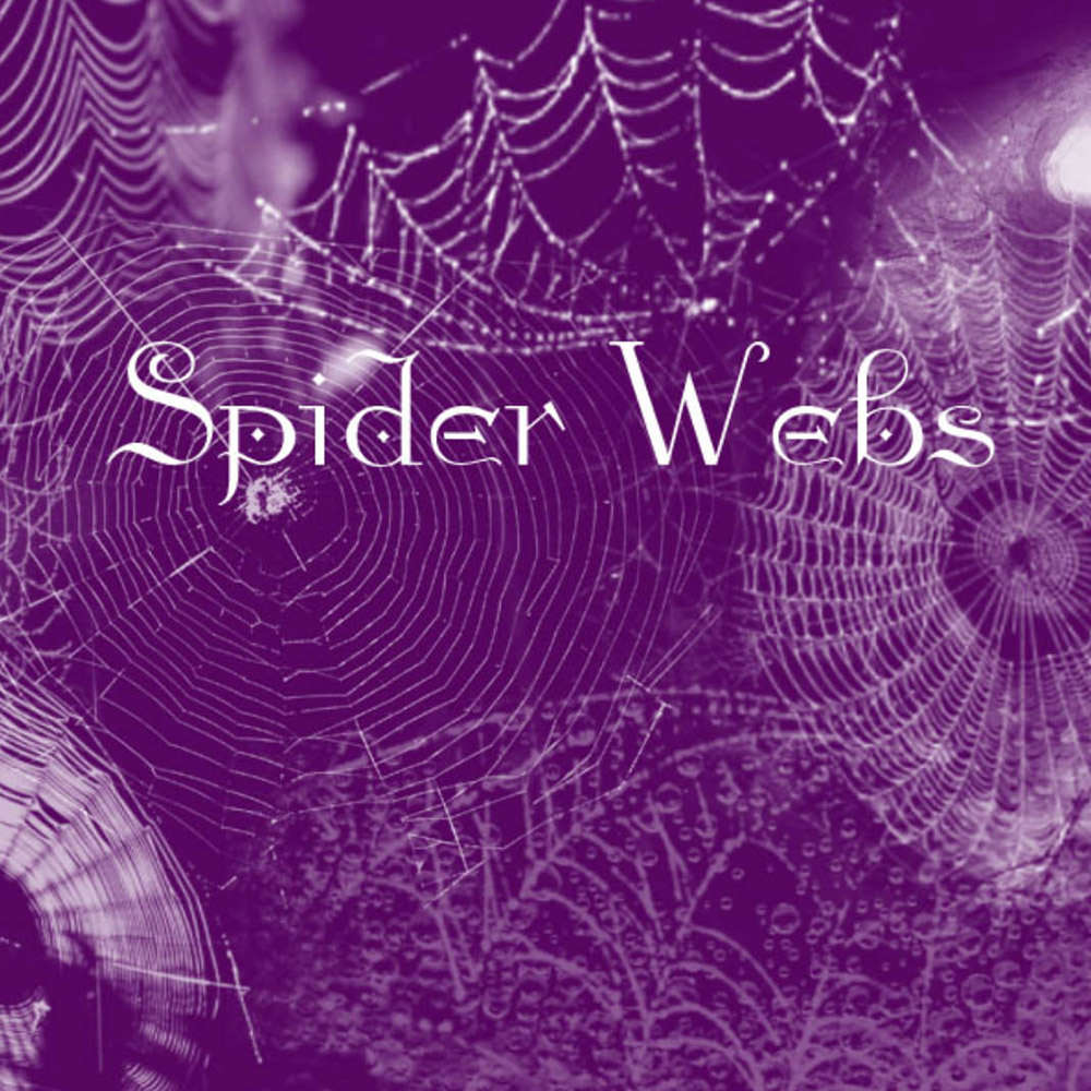 Spider Webs Photoshop Brushes